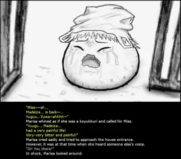 Oneesan and Yukkuri 6 (Boshiherondasu) - Translated Fhentai - Page 31