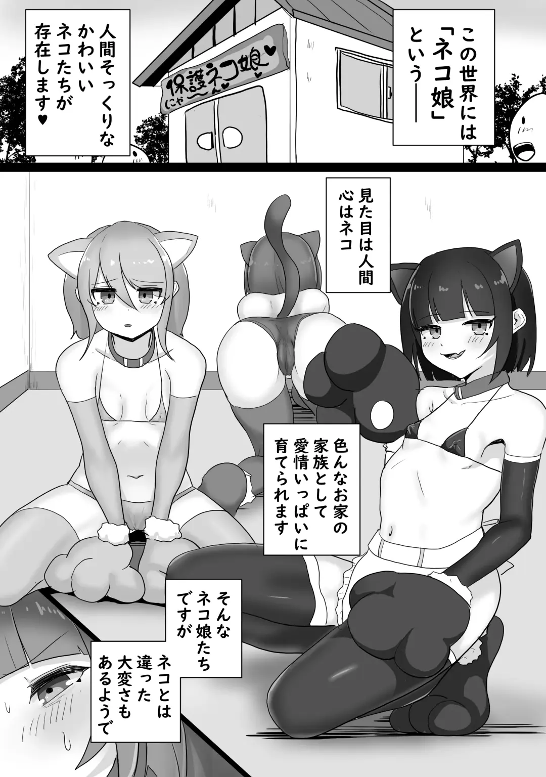 [Aota Sora] Iyagaru Neko Musume ni Omata Massage o Nechinechi Yari Tsuzukeru Hanashi Fhentai - Page 2