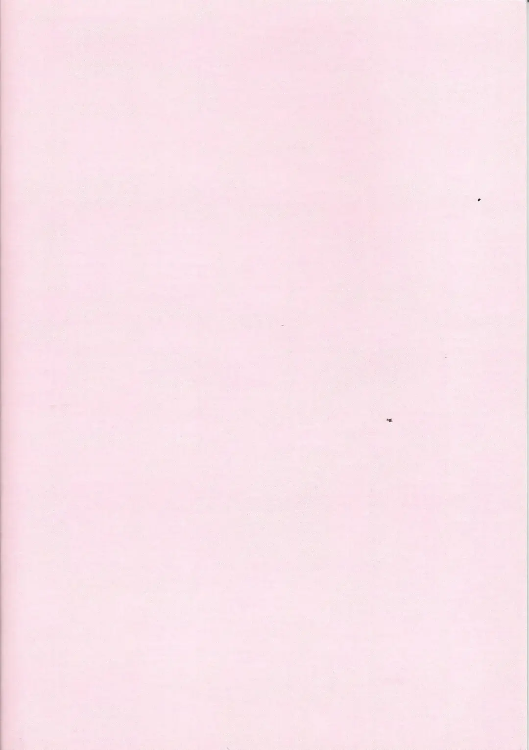 Lightning no jinru imetsu bo ka ihi kei ka kutsu! Fhentai - Page 20