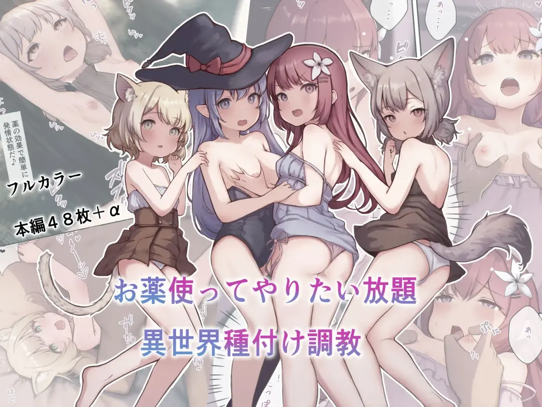 [Sukoyasu] お薬使ってやりたい放題!異世界種付け調教 Fhentai - Page 1