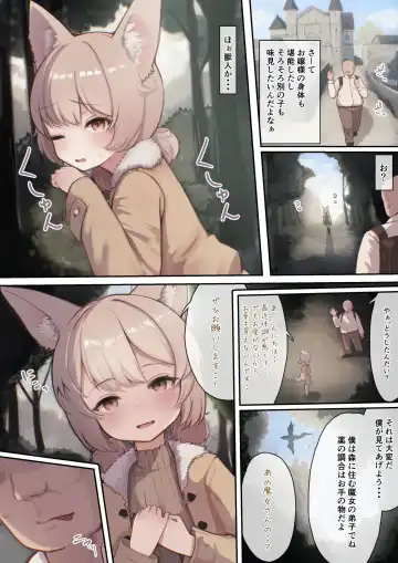 [Sukoyasu] お薬使ってやりたい放題!異世界種付け調教 Fhentai - Page 29