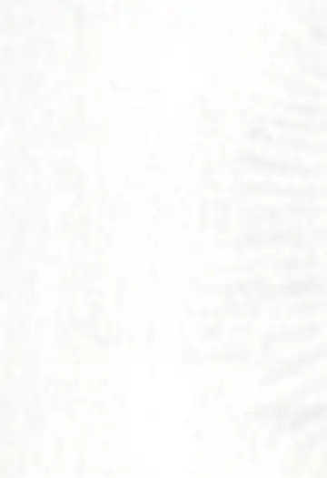 [Akifuji Satoshi] Reijou Shigan 2 Fhentai - Page 45