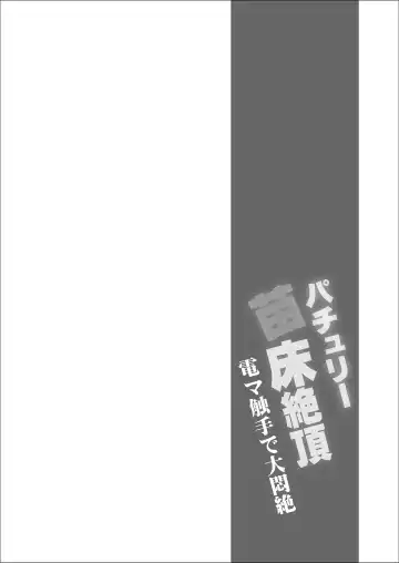 [Koizumi Hitsuji] Patchouli Naedoko Zecchou Denma Shokushu de Daimonzetsu Fhentai - Page 3