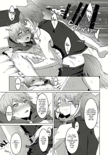 [Torimochiko] Ookami ni Aka Fhentai - Page 22