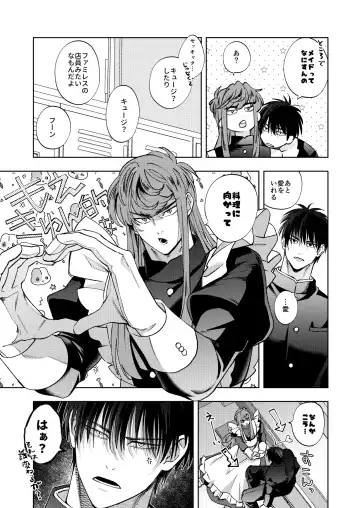 [Kamo] Bunkasai Sensation Fhentai - Page 14