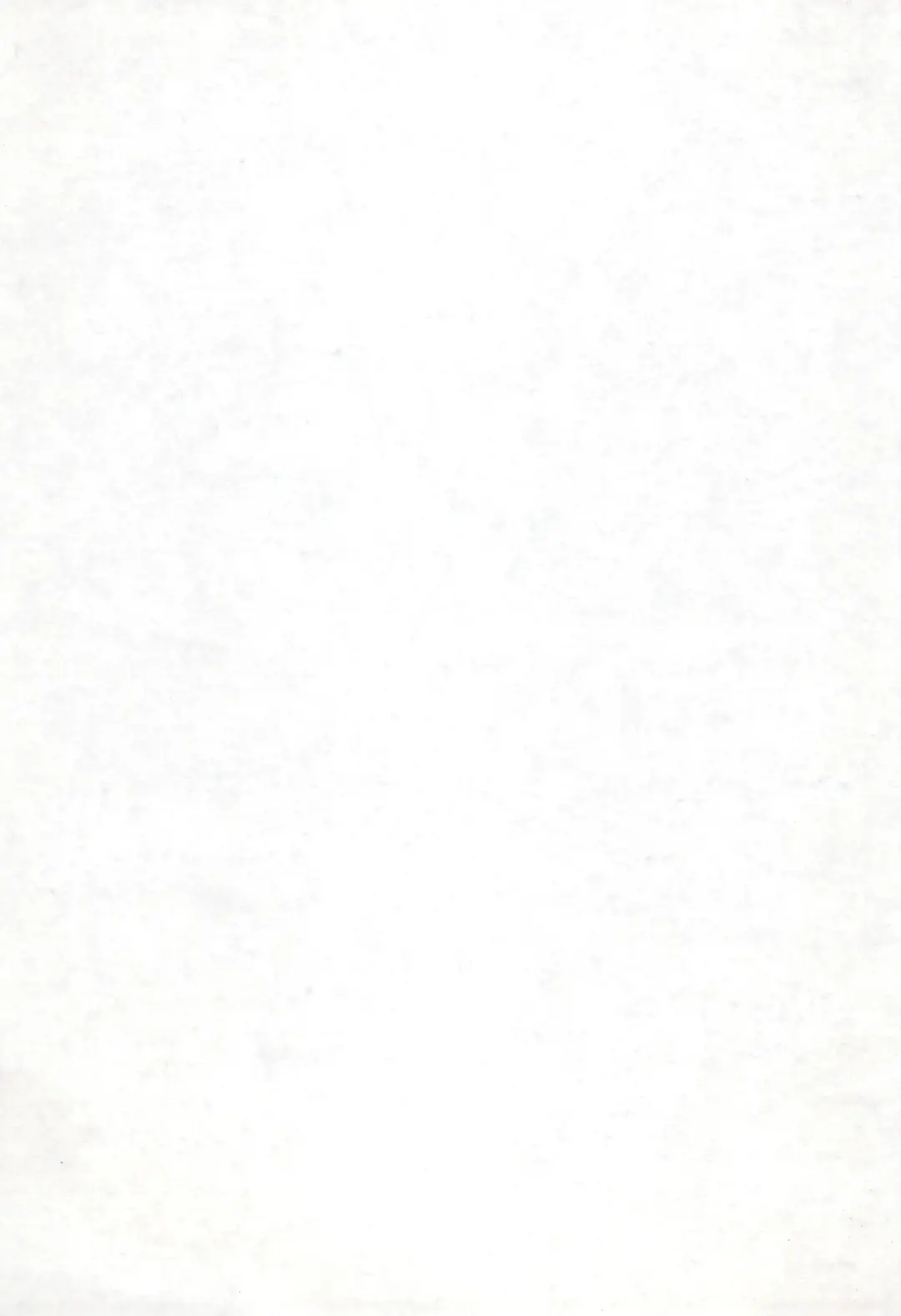 [Demag] Kaminechu Fhentai - Page 3