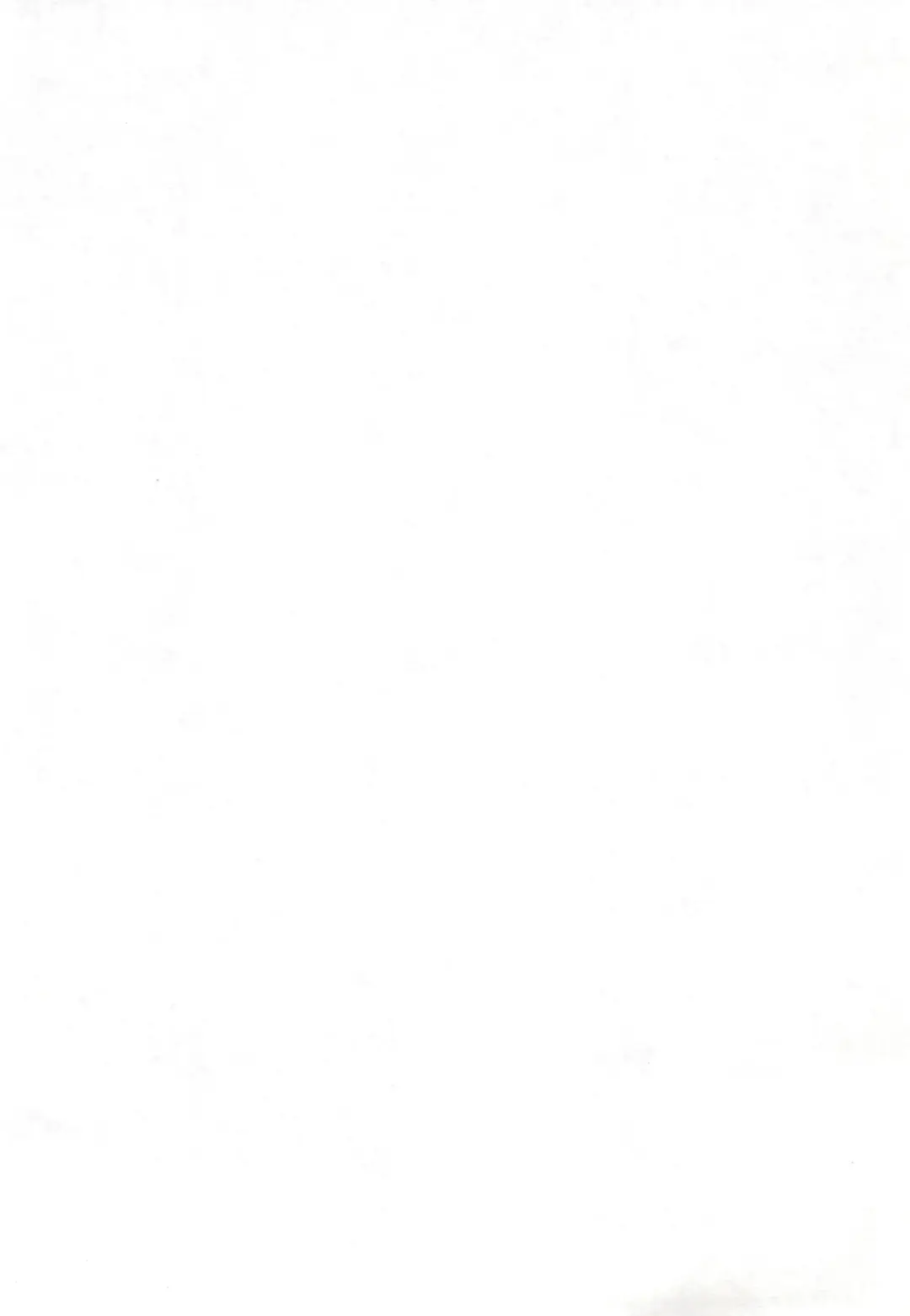 [Demag] Kaminechu Fhentai - Page 4