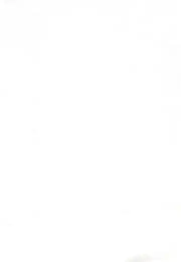 [Demag] Kaminechu Fhentai - Page 4