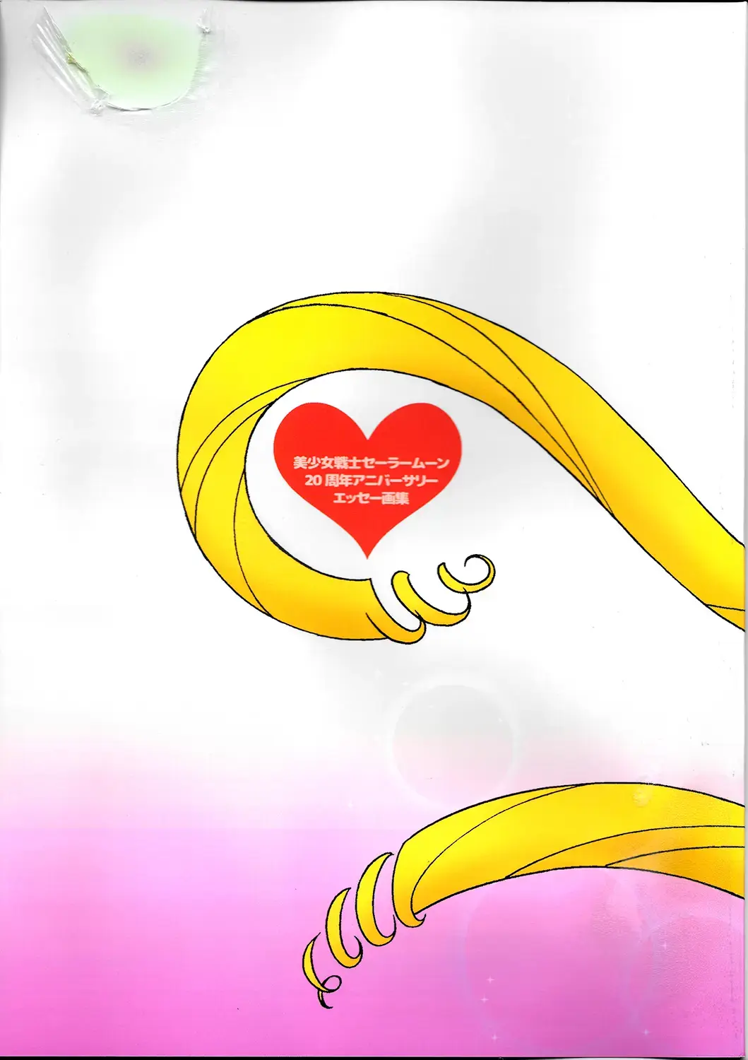 20th Anniversary Essay & Artbook Fhentai - Page 1