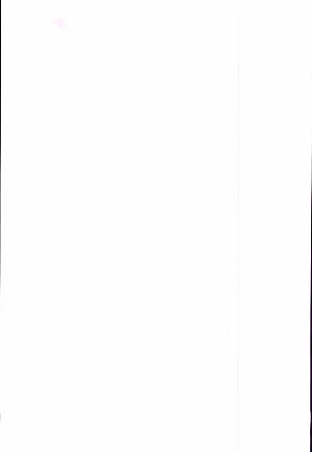 20th Anniversary Essay & Artbook Fhentai - Page 4