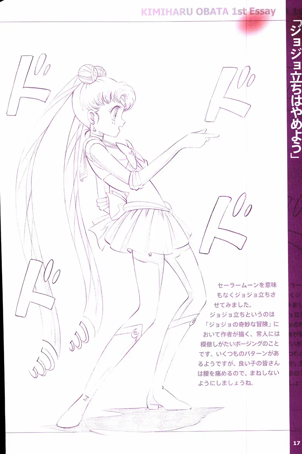 20th Anniversary Essay & Artbook Fhentai - Page 19