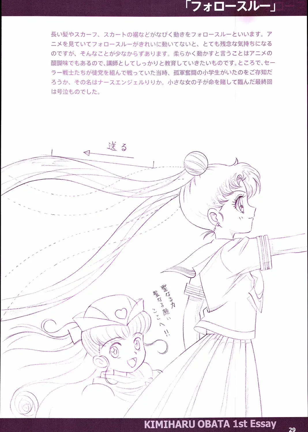 20th Anniversary Essay & Artbook Fhentai - Page 31