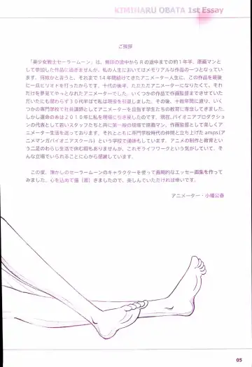 20th Anniversary Essay & Artbook Fhentai - Page 7