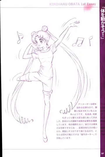 20th Anniversary Essay & Artbook Fhentai - Page 9