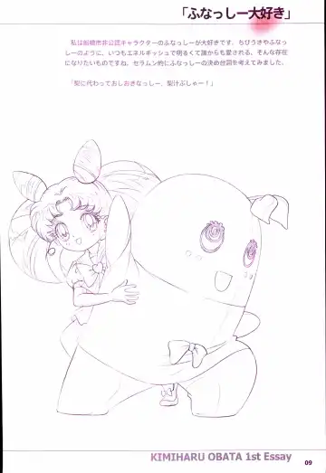 20th Anniversary Essay & Artbook Fhentai - Page 11