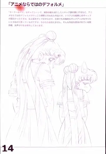 20th Anniversary Essay & Artbook Fhentai - Page 16