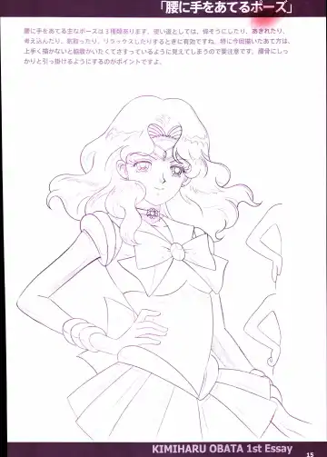 20th Anniversary Essay & Artbook Fhentai - Page 17