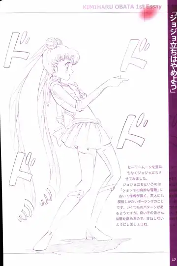 20th Anniversary Essay & Artbook Fhentai - Page 19