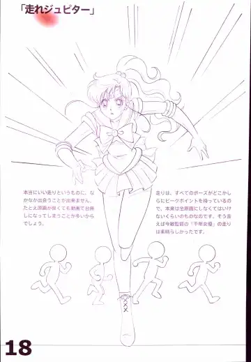 20th Anniversary Essay & Artbook Fhentai - Page 20