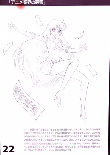 20th Anniversary Essay & Artbook Fhentai - Page 24