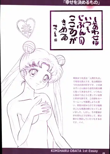 20th Anniversary Essay & Artbook Fhentai - Page 27