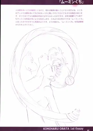 20th Anniversary Essay & Artbook Fhentai - Page 29