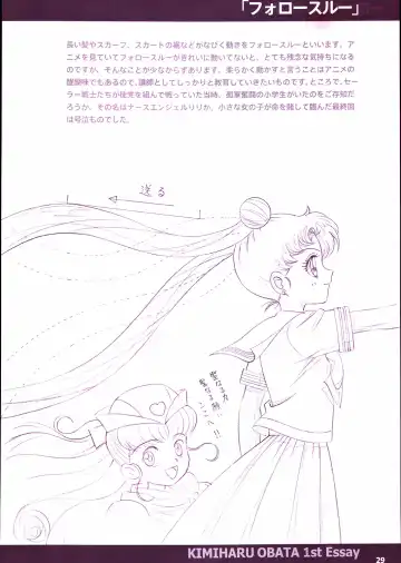 20th Anniversary Essay & Artbook Fhentai - Page 31