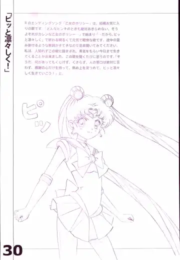 20th Anniversary Essay & Artbook Fhentai - Page 32