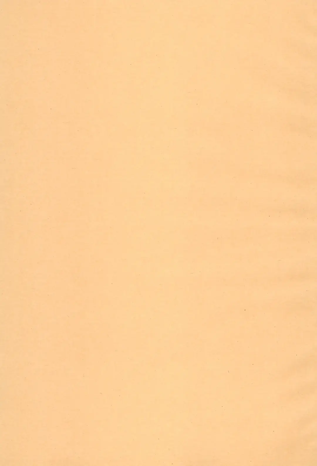 [Komuhei] Yappa Asuka da yo naa Fhentai - Page 3