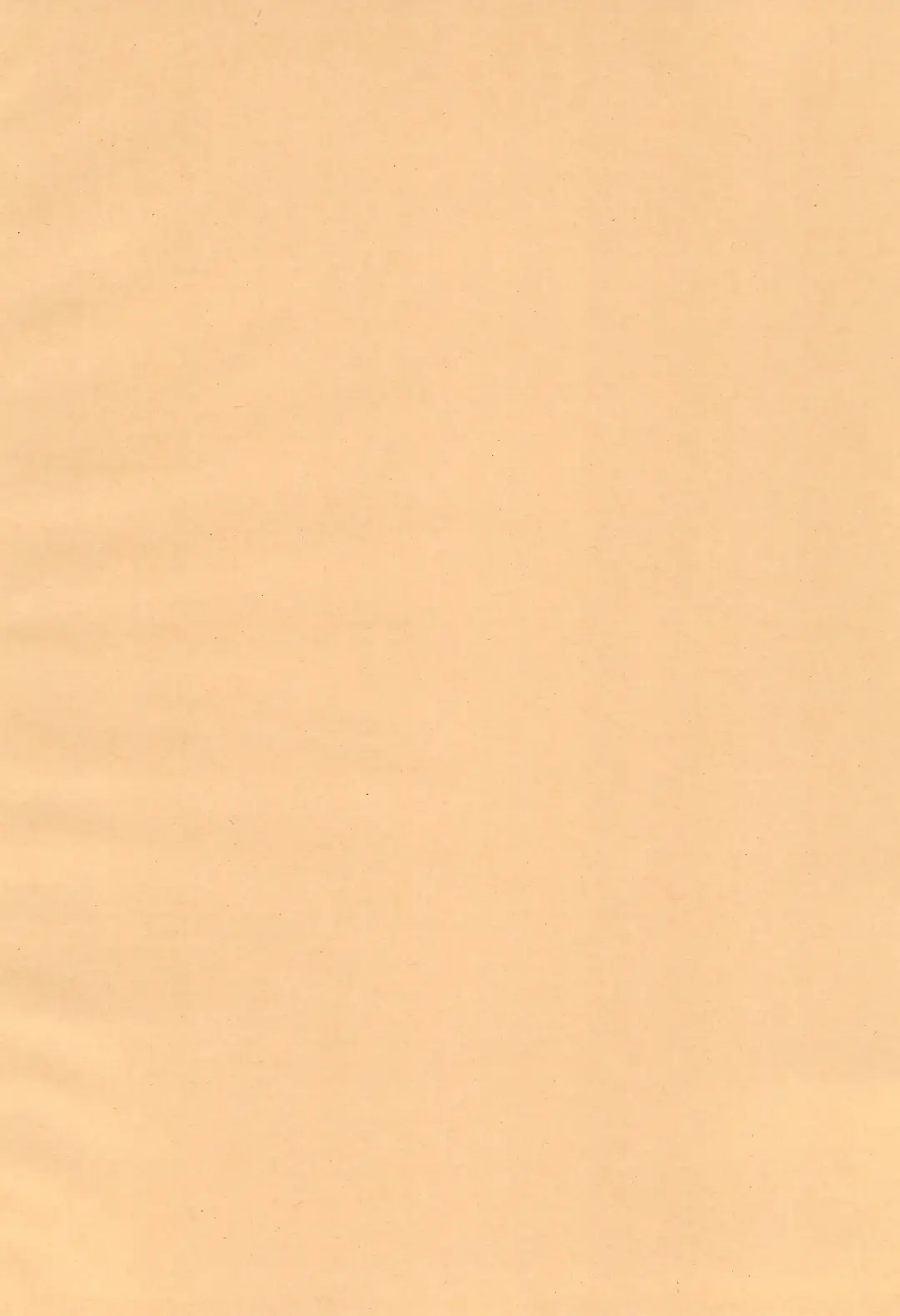 [Komuhei] Yappa Asuka da yo naa Fhentai - Page 4