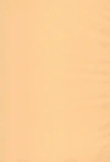 [Komuhei] Yappa Asuka da yo naa Fhentai - Page 3