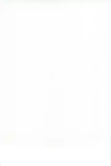 [Yahiro Pochi] C88 Kaijou Genteibon Denma o Motte Rin-chan Seisu Fhentai - Page 2