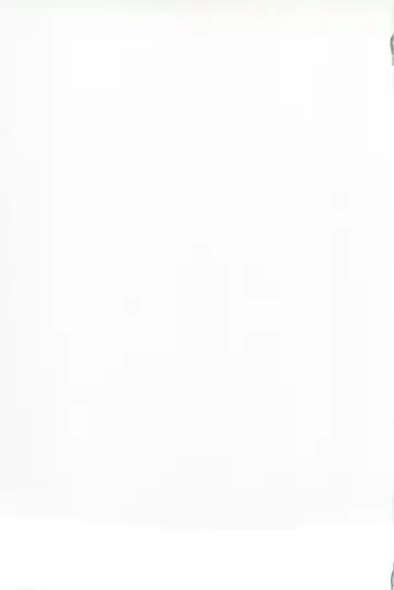 [Yahiro Pochi] C88 Kaijou Genteibon Denma o Motte Rin-chan Seisu Fhentai - Page 19