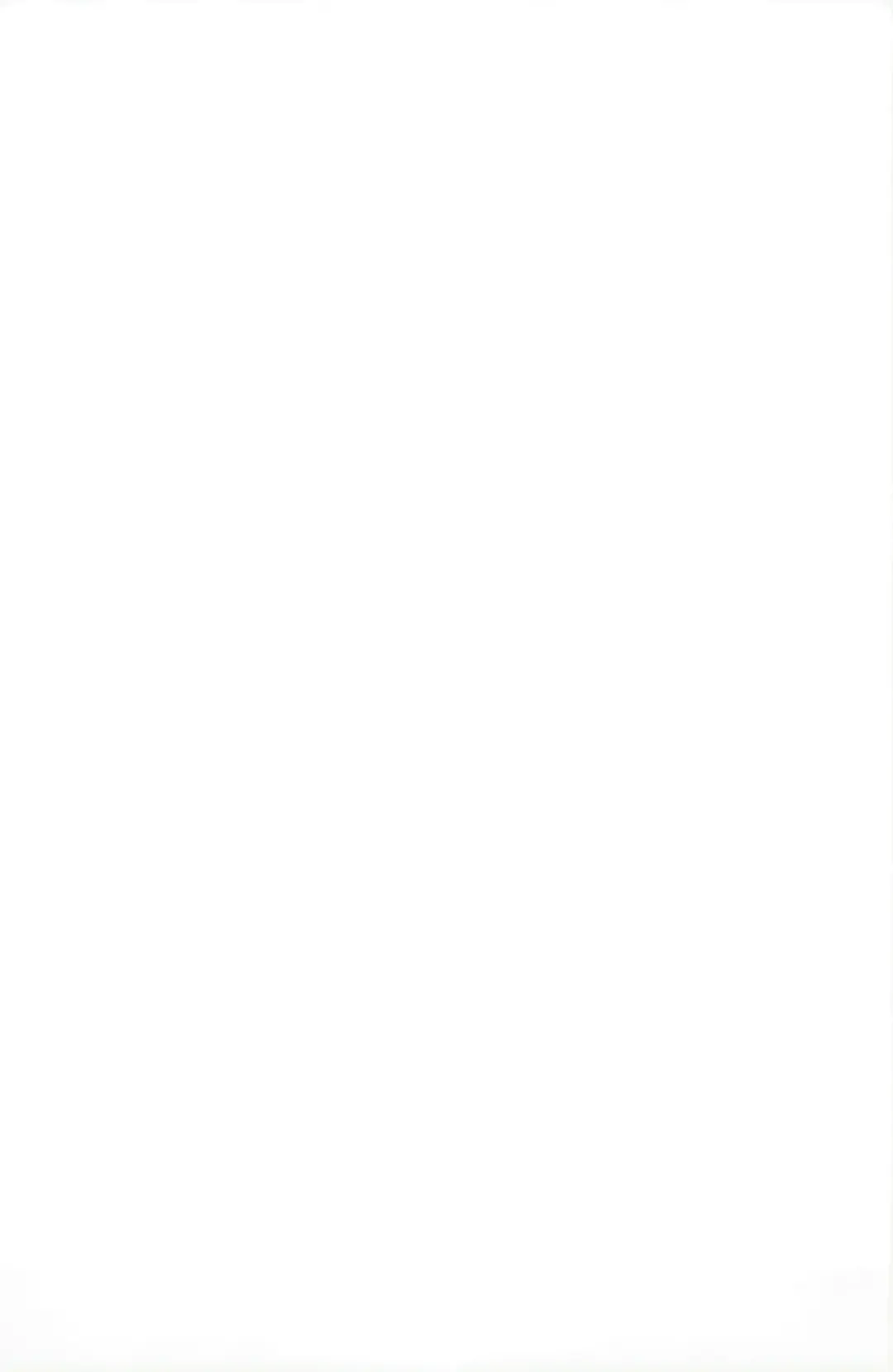 [Midorinocha] Usu Midori Fhentai - Page 19