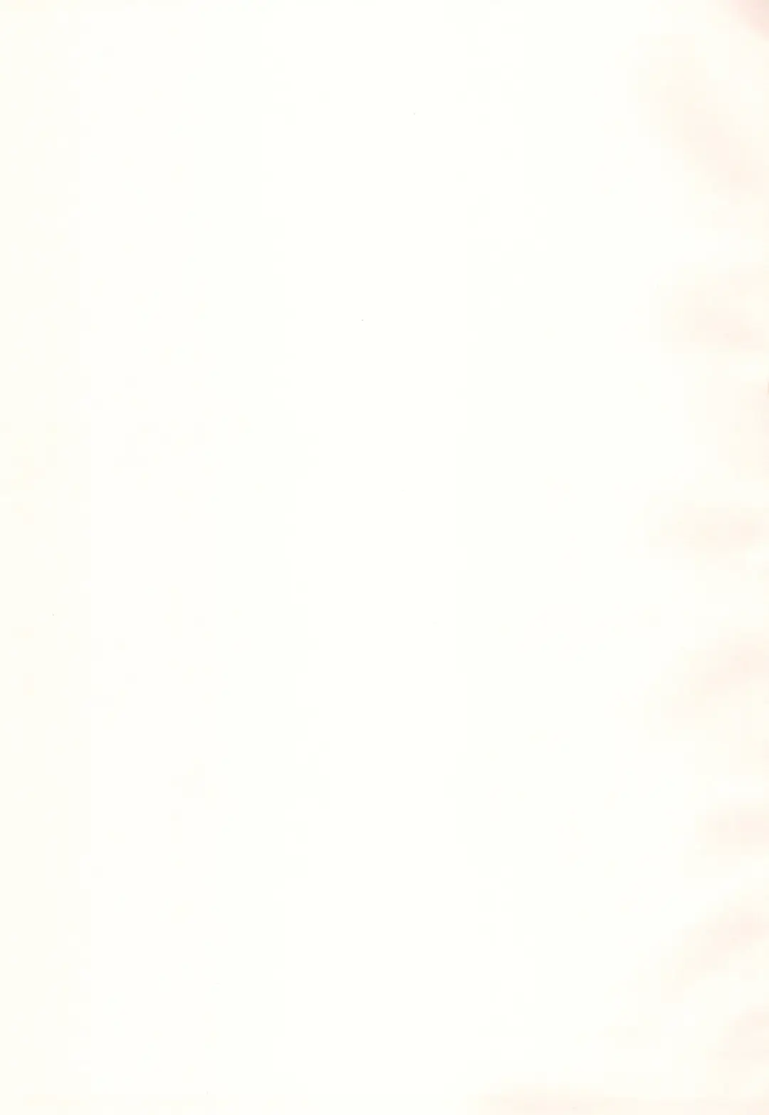 [Ushita] Ojamajo Christmas-bon 2023 Fhentai - Page 3