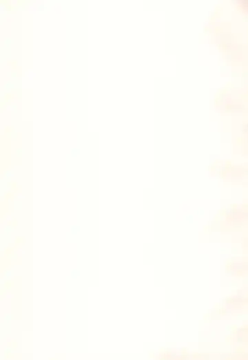 [Ushita] Ojamajo Christmas-bon 2023 Fhentai - Page 3