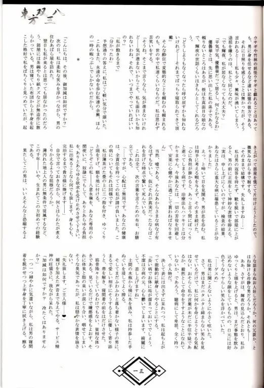 東方双三八 Fhentai - Page 12