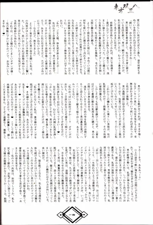 東方双三八 Fhentai - Page 13