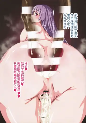 [Hiro] Patchouli Doll | 帕秋莉娃娃 Fhentai - Page 11