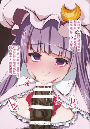 [Hiro] Patchouli Doll | 帕秋莉娃娃 Fhentai - Page 5