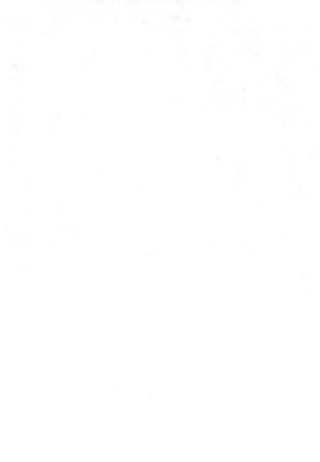 [Bangbanghigaro] Dangan Sensha Fhentai - Page 4