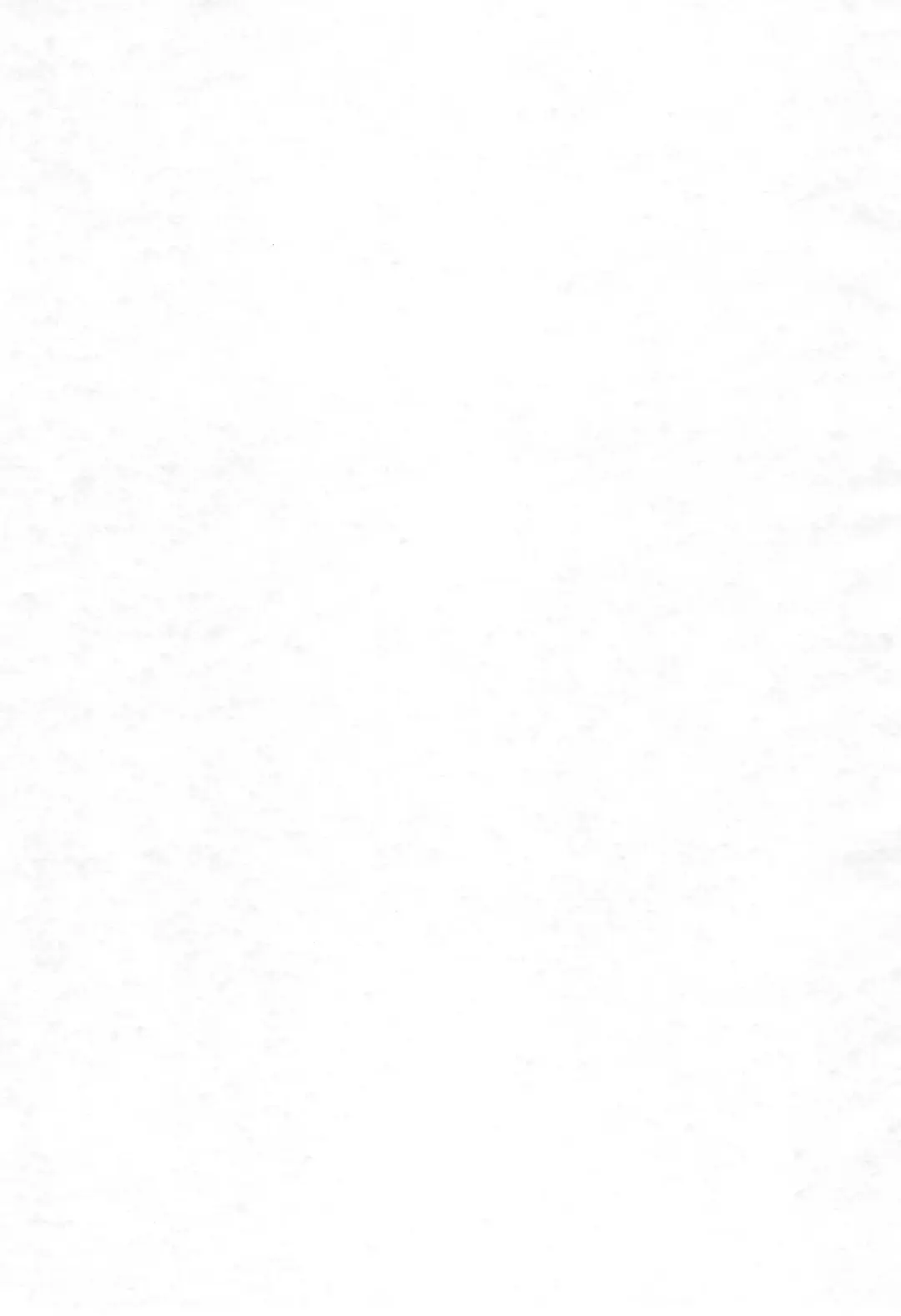 [Chouchin Ankou] Aniero Mix. 009 Fhentai - Page 3