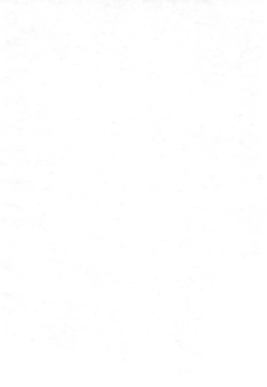 [Chouchin Ankou] Aniero Mix. 009 Fhentai - Page 4