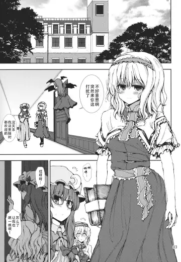 [Mokumokuren] Alice to Patchouli no Yoasobi Time!! | 爱丽丝和帕秋莉的夜间游戏时间!! Fhentai - Page 3