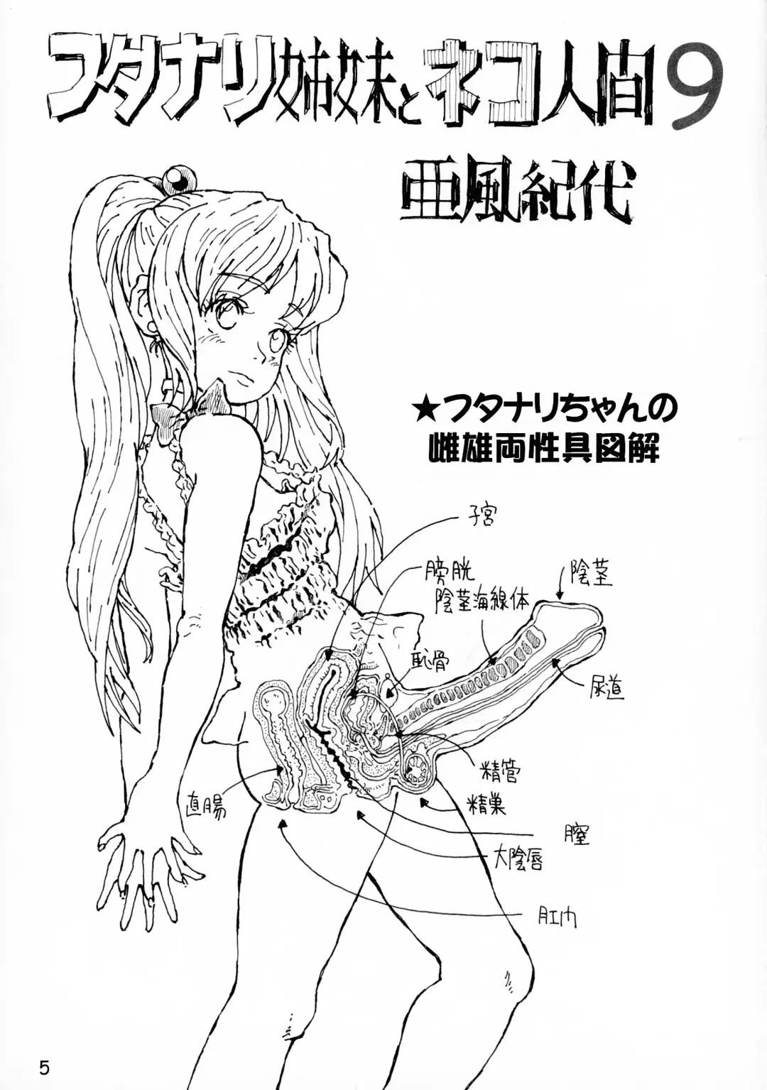 [Akaze Kidai] Futanari Shimai to Neko Ningen 9 Fhentai - Page 5