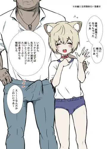 [Ozi8] Uzakute Kawaii Baka de Ecchi na Nekomimi Fhentai - Page 19