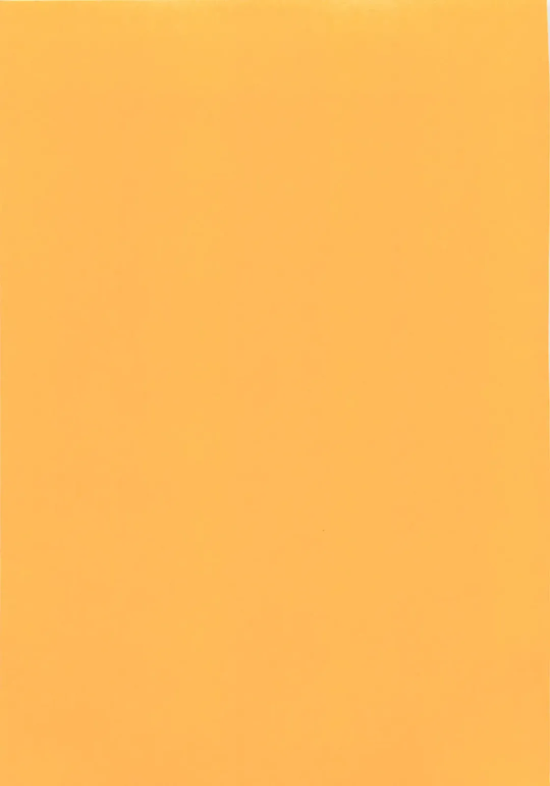 [Tokaidow Micty] Konya wa Dorei DE Night Fhentai - Page 232