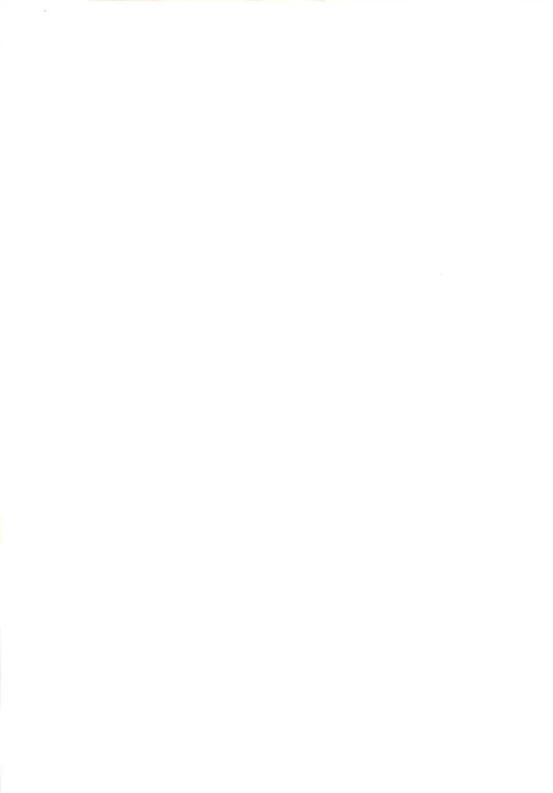 [Tokaidow Micty] Konya wa Dorei DE Night Fhentai - Page 3