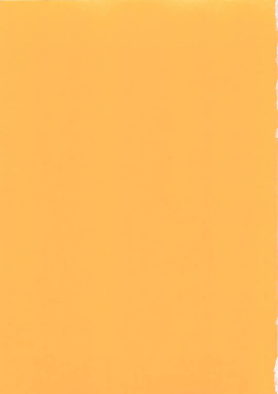 [Tokaidow Micty] Konya wa Dorei DE Night Fhentai - Page 4