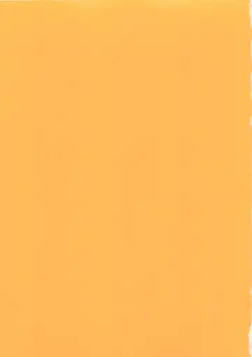 [Tokaidow Micty] Konya wa Dorei DE Night Fhentai - Page 4